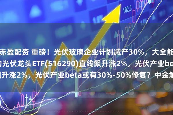 赤盈配资 重磅！光伏玻璃企业计划减产30%，大全能源等涨停，低费率的光伏龙头ETF(516290)直线飙升涨2%，光伏产业beta或有30%-50%修复？中金解读！