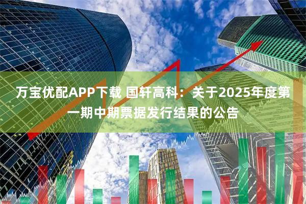 万宝优配APP下载 国轩高科：关于2025年度第一期中期票据发行结果的公告