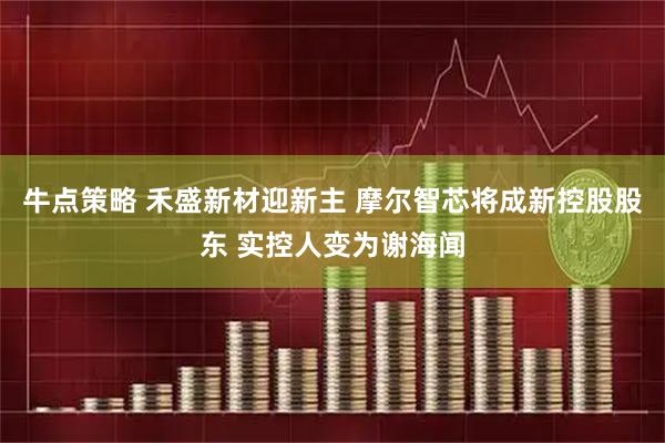 牛点策略 禾盛新材迎新主 摩尔智芯将成新控股股东 实控人变为谢海闻