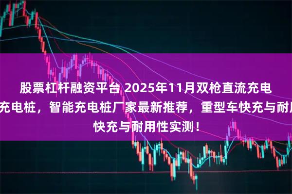 股票杠杆融资平台 2025年11月双枪直流充电桩，重卡充电桩，智能充电桩厂家最新推荐，重型车快充与耐用性实测！