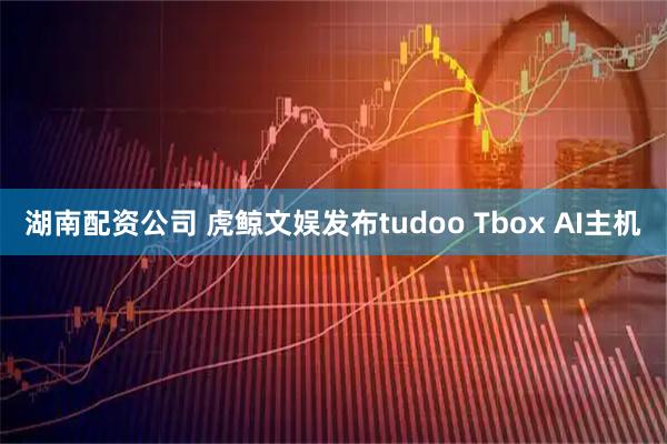 湖南配资公司 虎鲸文娱发布tudoo Tbox AI主机