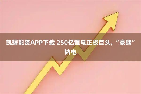 凯耀配资APP下载 250亿锂电正极巨头, “豪赌”钠电