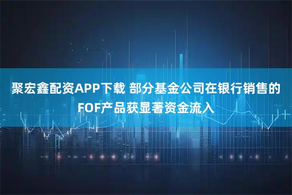 聚宏鑫配资APP下载 部分基金公司在银行销售的FOF产品获显著资金流入